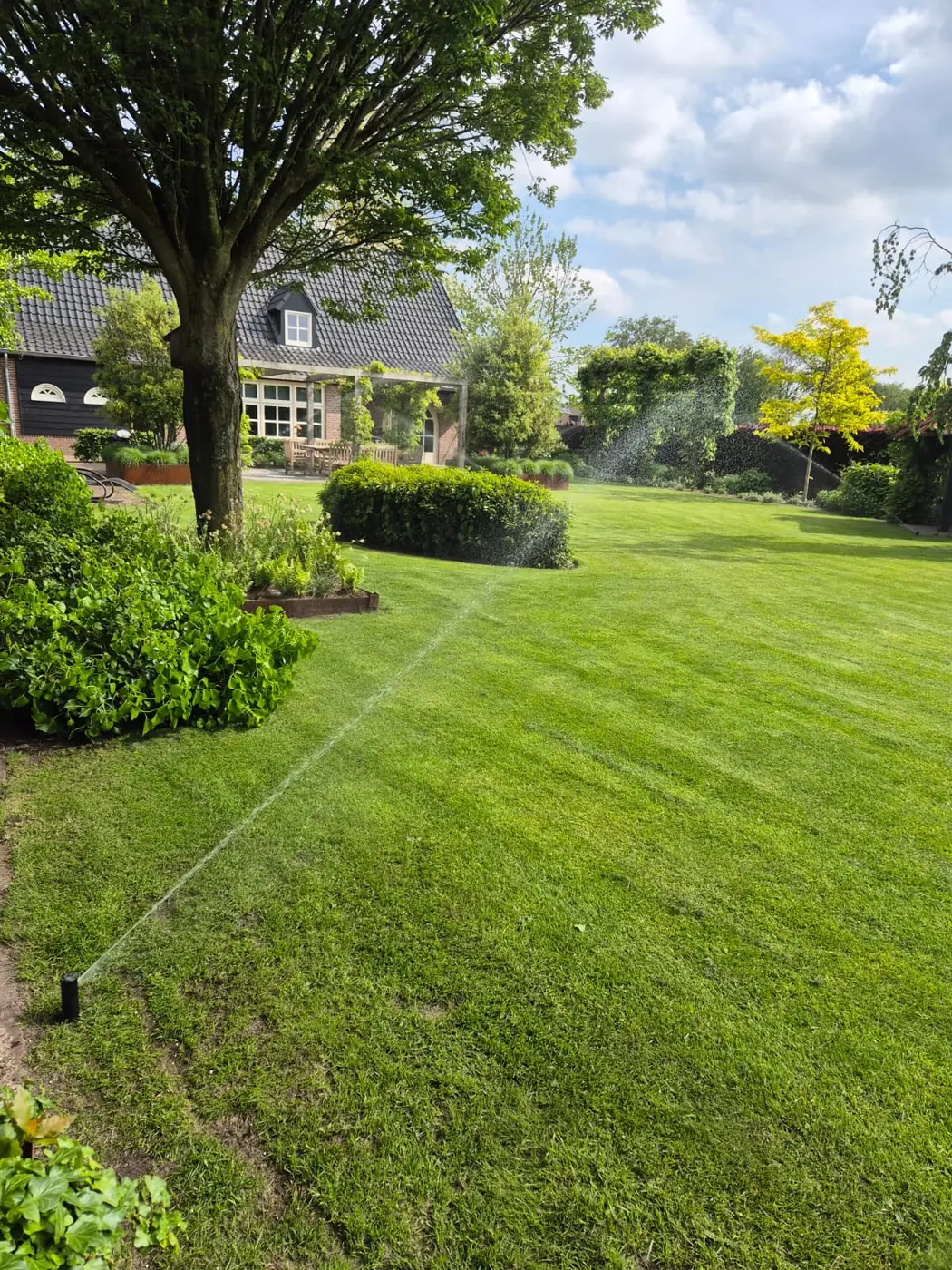 Sproeiers in werking in een tuin met borders en gazon
